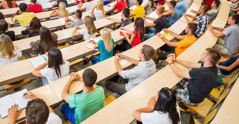 studijski programi